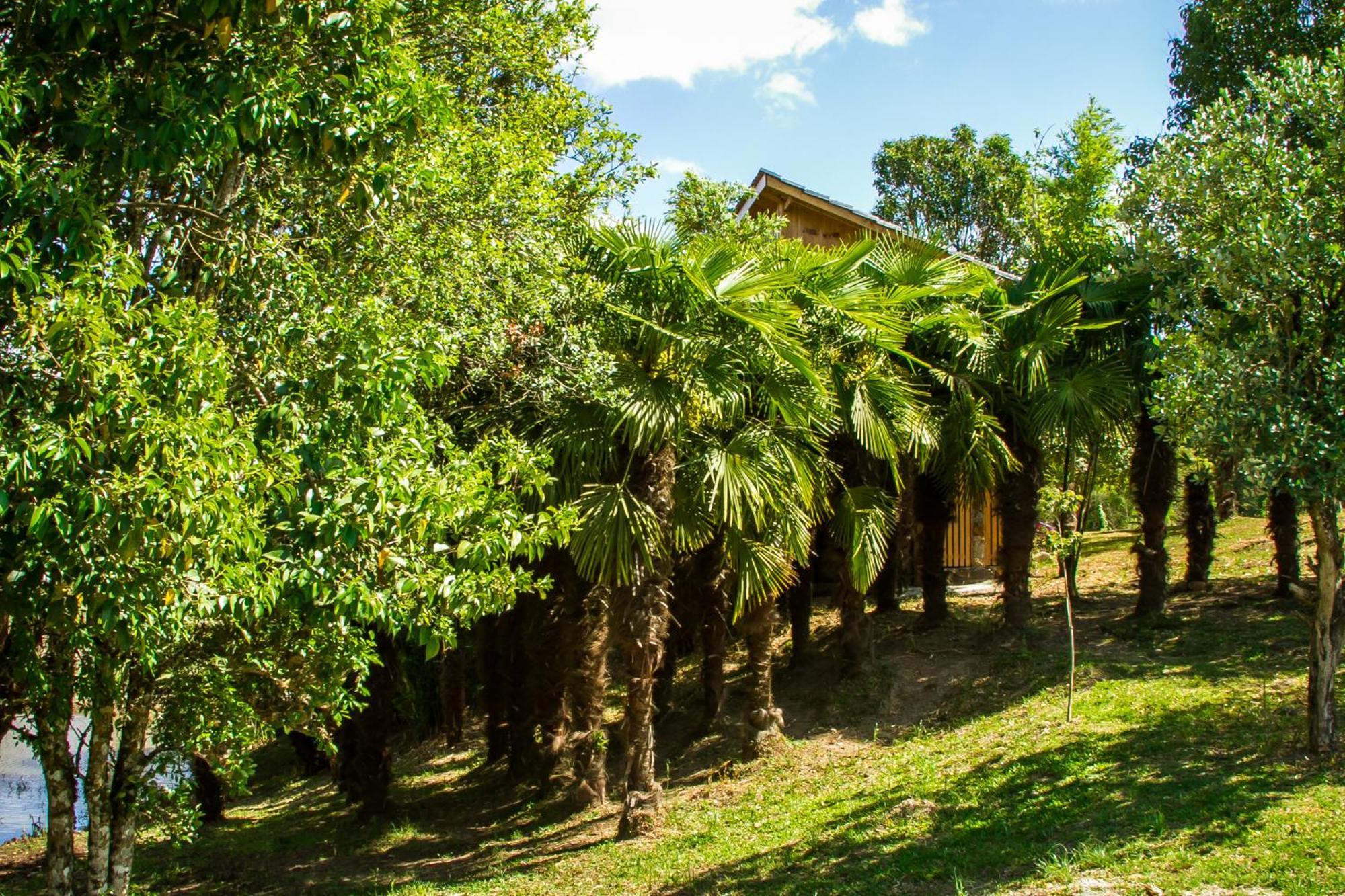 Cabana Gala Unica Exclusiva No Vale Das Macieiras Urubici Exterior foto